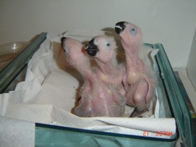 Picture 995.jpg