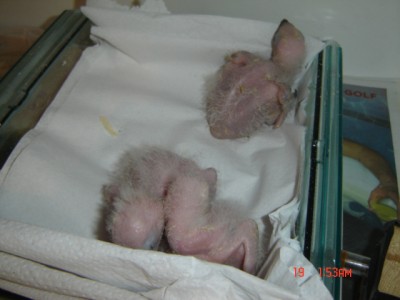 Picture 992.jpg