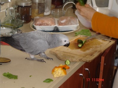 Picture 892.jpg