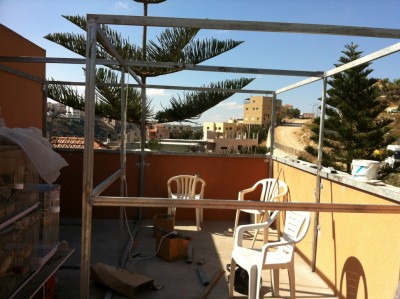 הווילר שלב אחרון