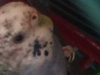 יותר ברור אני מקווה