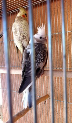 IMG_3189 (Medium).JPG