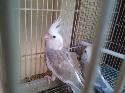 2013-08-31 11.22.31.jpg