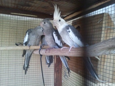 2013-04-28 10.38.24.jpg