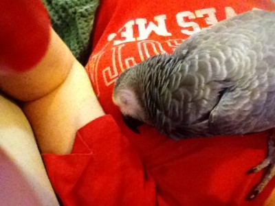 צוור עקום. זה בעצם המנח הטבעי של הצוואר של ג׳וי