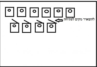 תאי הטלה.jpg