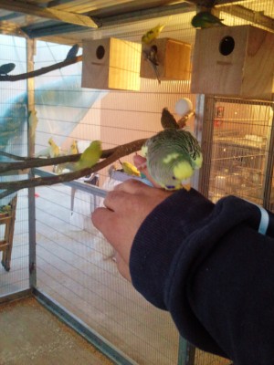 Photo004 (Large).jpg