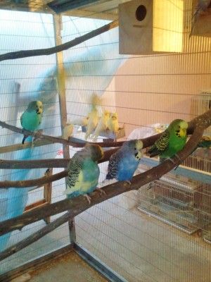 Photo013 (Large).jpg