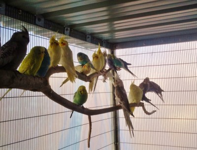 Photo007 (Large).jpg