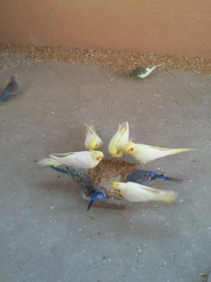 Photo020 (Large).jpg