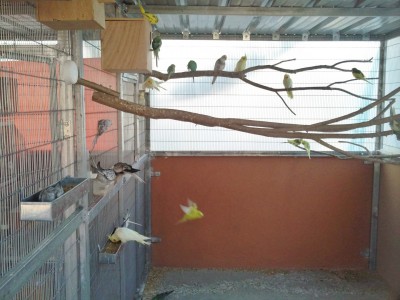 Photo040 (Large).jpg