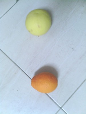 הפירות
