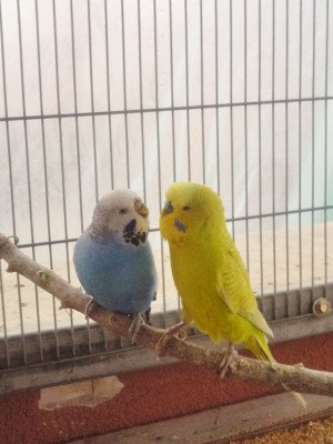 Photo021 (Large).jpg