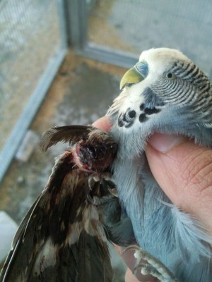 Photo001 (Large).jpg