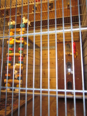 ההפרדה בין התאים- גג