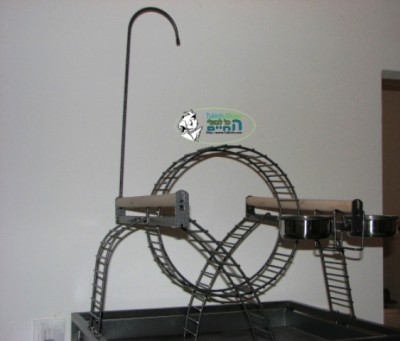 IMG11-1.jpg