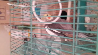 20131119_152509 (1).jpg