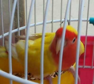 20140224_165557-1-1-1.jpg