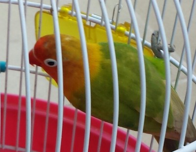 20140224_165600-1.jpg