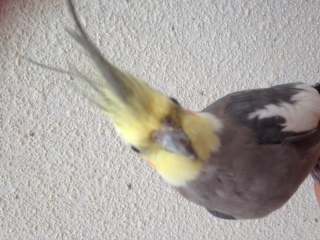 תמונה 1 (3).JPG