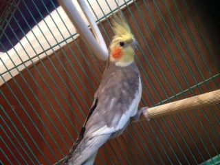 תמונה 2 (4).JPG