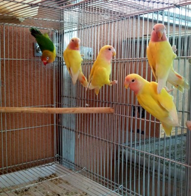 Photo027 (Large) (2).jpg