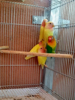 Photo023 (Large).jpg