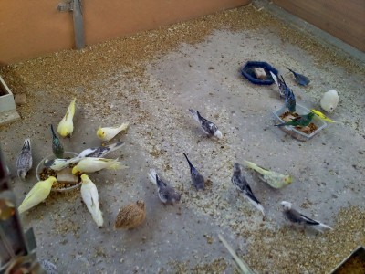 Photo018 (Large).jpg