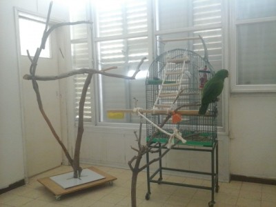 20140310_143549.jpg