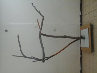 20140310_143819.jpg
