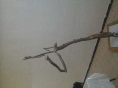 20140310_165820.jpg
