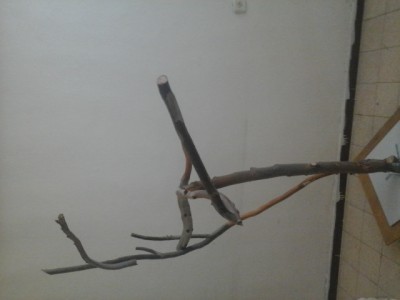 20140310_165828.jpg