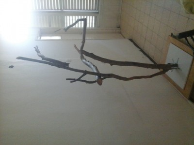 20140310_165739.jpg