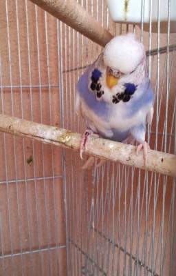 Photo019 (Large).jpg