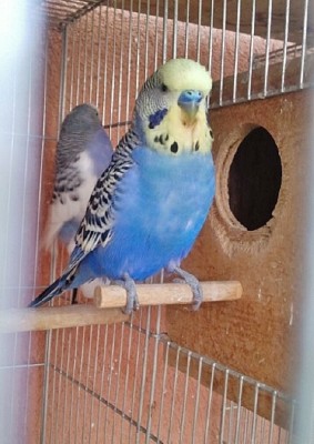 Photo017 (Large).jpg