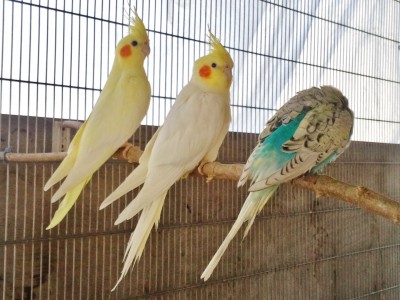 Photo028 (Large).jpg