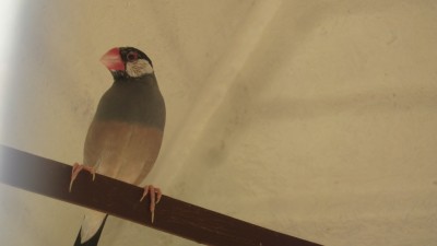 IMG_6143.JPG