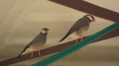 IMG_6171.JPG