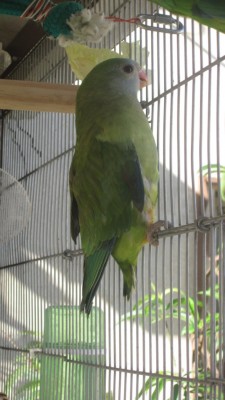 IMG_6137.JPG