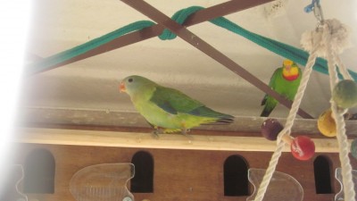 IMG_6148.JPG