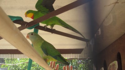 IMG_6151.JPG