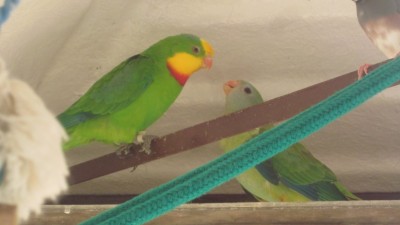IMG_6158.JPG