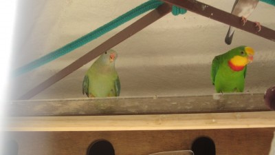 IMG_6159.JPG