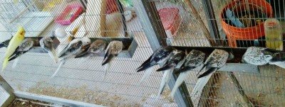 Photo018 (Medium).jpg