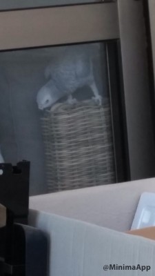 היי! מה אתם עושים שם? גם אני רוצה!!!