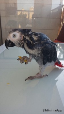 ואחת אחרי המקלחת הראשונה של האביב....