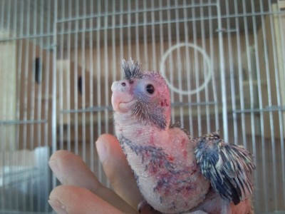 Photo015 (Medium).jpg