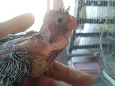 Photo018 (Medium).jpg