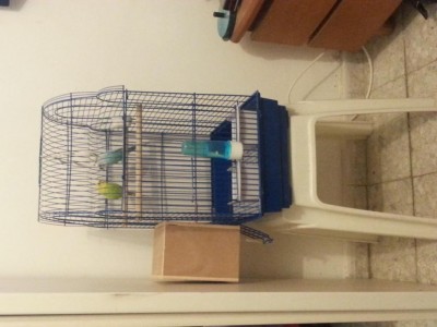 20140423_192725.jpg