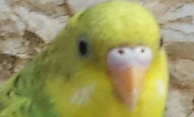 20140429_162340-1-1.jpg